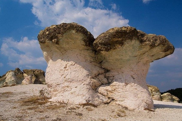 Фото каменных грибов в Болгарии